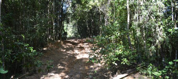 4 Schlafzimmer Bauernhof in Millaa Millaa, Australia, Nr. 1071 13