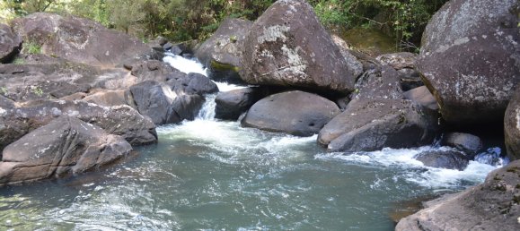 4 Schlafzimmer Bauernhof in Millaa Millaa, Australia, Nr. 1071 3