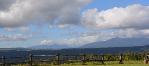 4 Schlafzimmer Bauernhof in Millaa Millaa, Australia, Nr. 1071 17