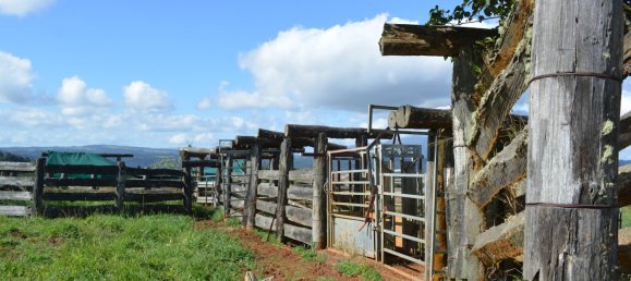 4 Schlafzimmer Bauernhof in Millaa Millaa, Australia, Nr. 1071 2