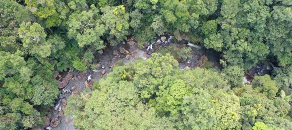 4 Schlafzimmer Bauernhof in Millaa Millaa, Australia, Nr. 1071 19