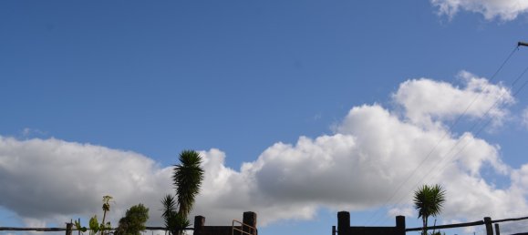 4 Schlafzimmer Bauernhof in Millaa Millaa, Australia, Nr. 1071 16