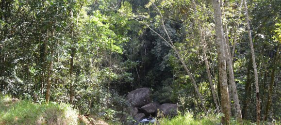 4 Schlafzimmer Bauernhof in Millaa Millaa, Australia, Nr. 1071 4