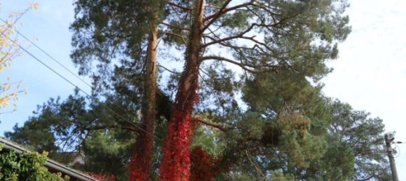 6 غرف نوم تاون هاوس في Oberhavel, Germany رقم 109787 34