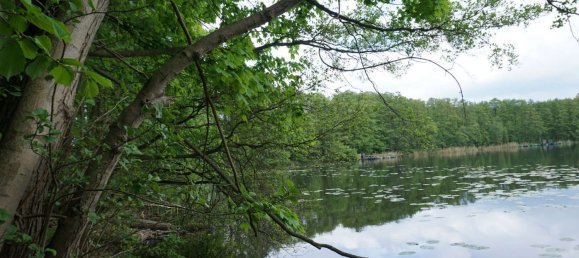 6 غرف نوم تاون هاوس في Oberhavel, Germany رقم 109787 15