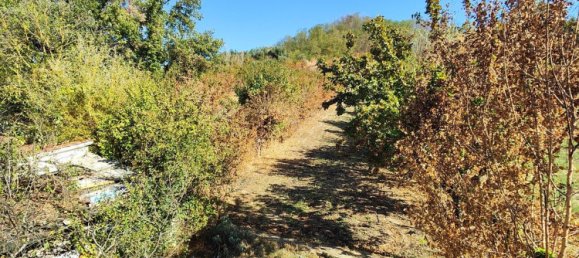 5 rooms House in Castelfranco Piandiscò, Italy No. 169077 28