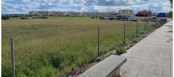 Земельный участок 10200м² в Вильянуэва-де-ла-Серена, Испания № 162428 4