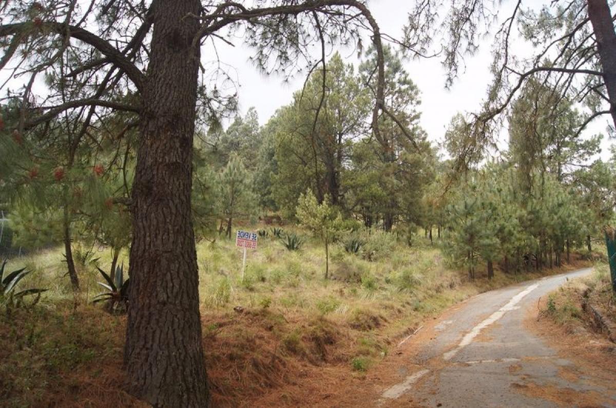  Land in Lerma, Mexico No. 206050