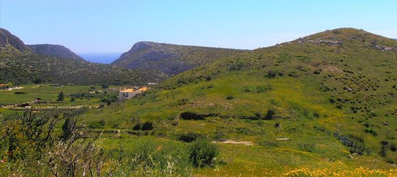 7000m² Hotel in Anavyssos, Greece No. 7915 4