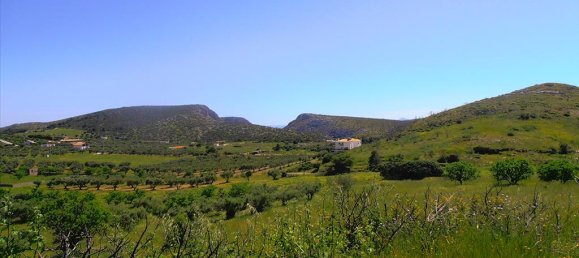 7000m² Hotel in Anavyssos, Greece No. 7915 2