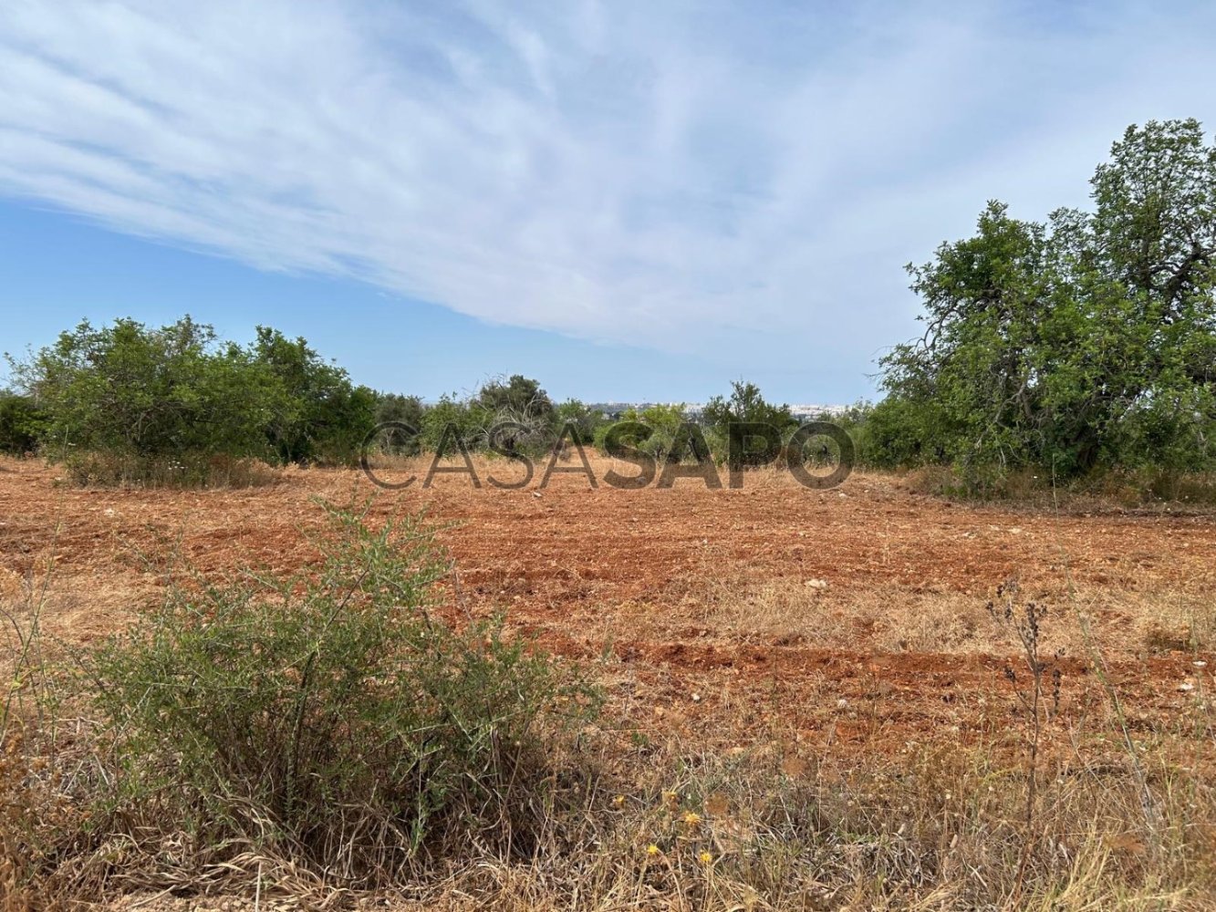 Terreno en Faro, Portugal No. 194779