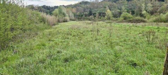 22000m² Land in Casciana Terme Lari, Italy No. 87114 4