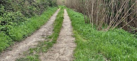 22000m² Land in Casciana Terme Lari, Italy No. 87114 8