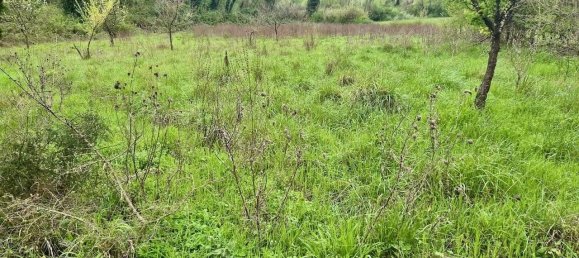 22000m² Land in Casciana Terme Lari, Italy No. 87114 5