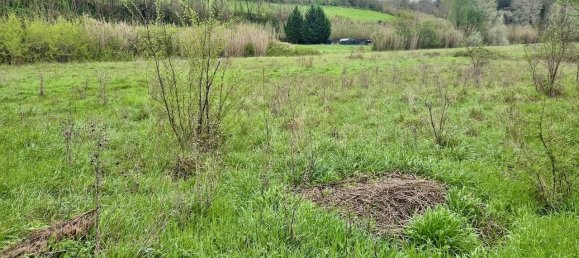 22000m² Land in Casciana Terme Lari, Italy No. 87114 6