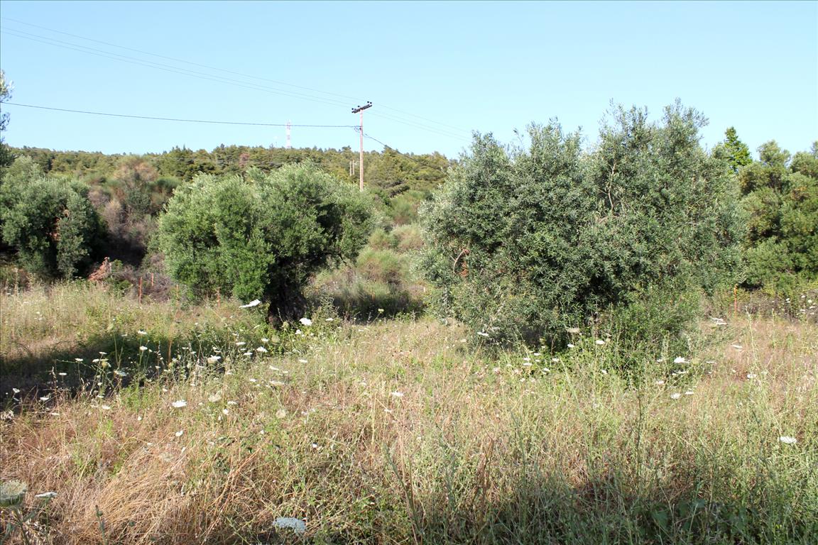 4000 m² hotel en venta en Chalkidiki, Central Macedonia, Macedonia and Thrace, Greece № 7948