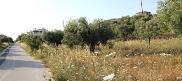 4000m² Hotel in Chalkidiki, Greece No. 7948 3