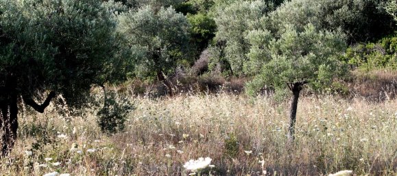 4000m² Hotel in Chalkidiki, Greece No. 7948 4