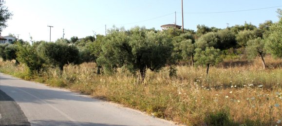 4000m² Hotel in Chalkidiki, Greece No. 7948 6