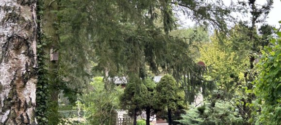 Terreno en Oberhavel, Germany No. 247031 11