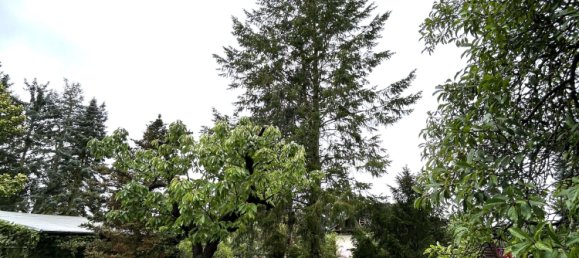 Terreno en Oberhavel, Germany No. 247031 14