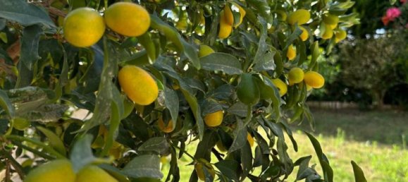 Wohnung 2+1 in Side, Turkey, Nr. 27997 9