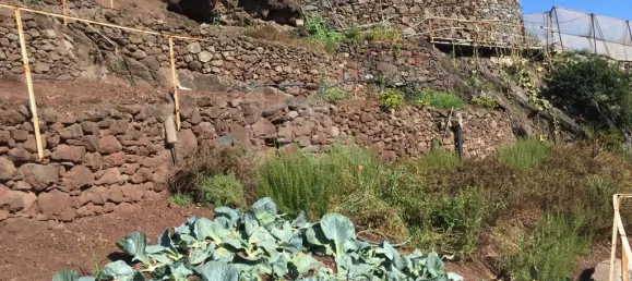 Terrain à Camara de Lobos, Portugal 718m² No. 184471 18