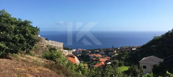 Terrain à Camara de Lobos, Portugal 718m² No. 184471 9