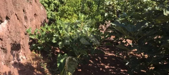 Terrain à Camara de Lobos, Portugal 718m² No. 184471 6