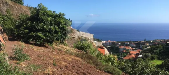 Terrain à Camara de Lobos, Portugal 718m² No. 184471 12