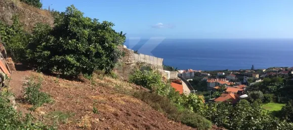 Terrain à Camara de Lobos, Portugal 718m² No. 184471 10