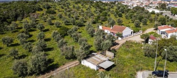  Land in Estremoz, Portugal No. 280737 5