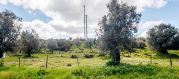  Land in Estremoz, Portugal No. 280737 12