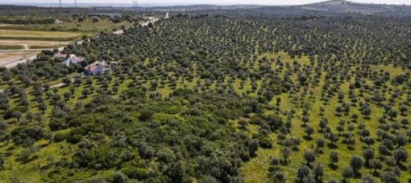  Land in Estremoz, Portugal No. 280737 4