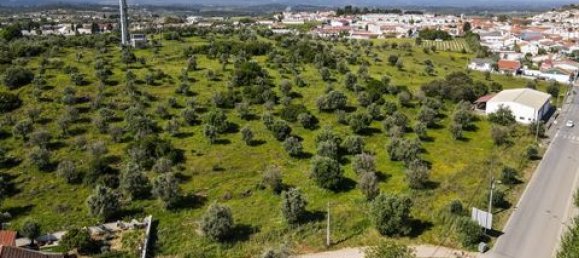  Land in Estremoz, Portugal No. 280737 8