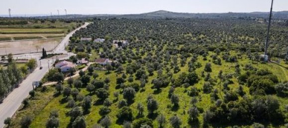  Land in Estremoz, Portugal No. 280737 3