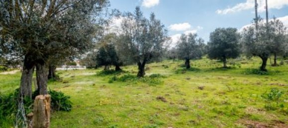  Land in Estremoz, Portugal No. 280737 17