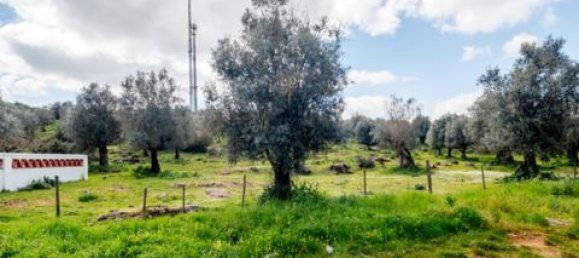  Land in Estremoz, Portugal No. 280737 11