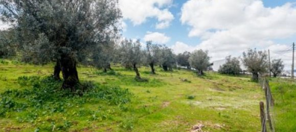  Land in Estremoz, Portugal No. 280737 14