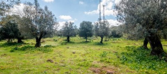 Land in Estremoz, Portugal No. 280737 16