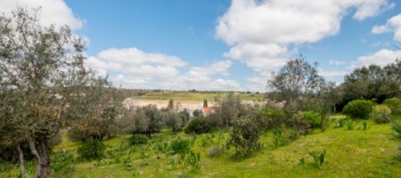  Land in Estremoz, Portugal No. 280737 20