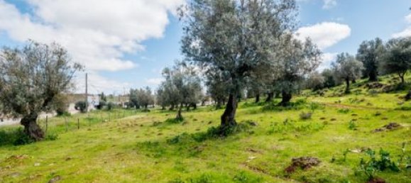  Land in Estremoz, Portugal No. 280737 9