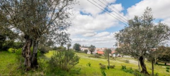  Land in Estremoz, Portugal No. 280737 19