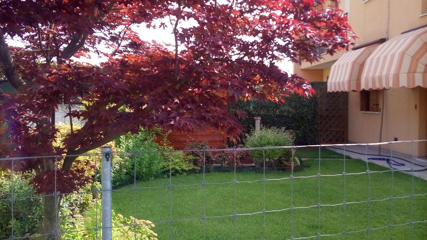 3 rooms Apartment in Trevignano, Italy No. 283404