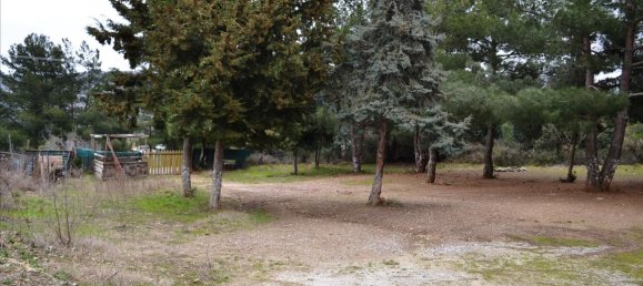 Imóvel comercial T2 em Chortiatis, Greece N.º 7419 17