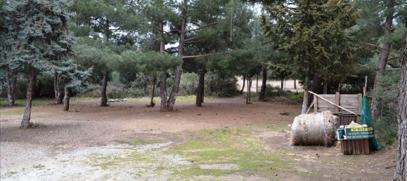 Imóvel comercial T2 em Chortiatis, Greece N.º 7419 18