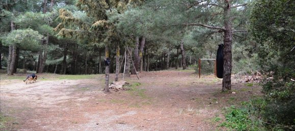 Imóvel comercial T2 em Chortiatis, Greece N.º 7419 19