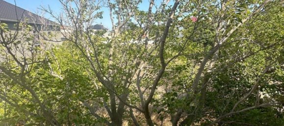 Дом 150м² в Апшеронский район, Азербайджан № 1136 11