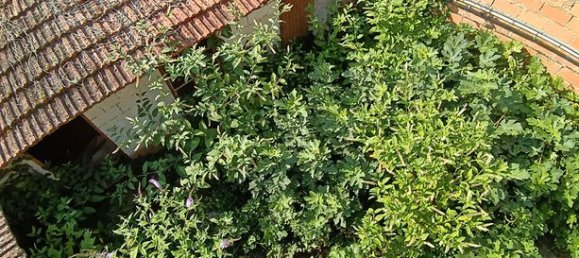 3 bedrooms House in Moissac, France No. 362950 3