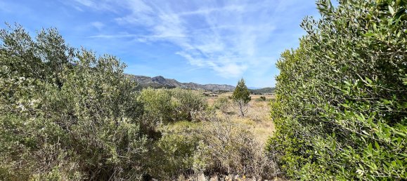 Grundstück in Cases-de-Pene, France, Nr. 89398 2